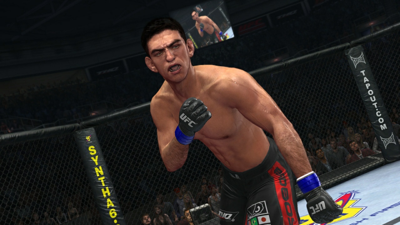 UFC Undisputed 2010 - Imagen 27